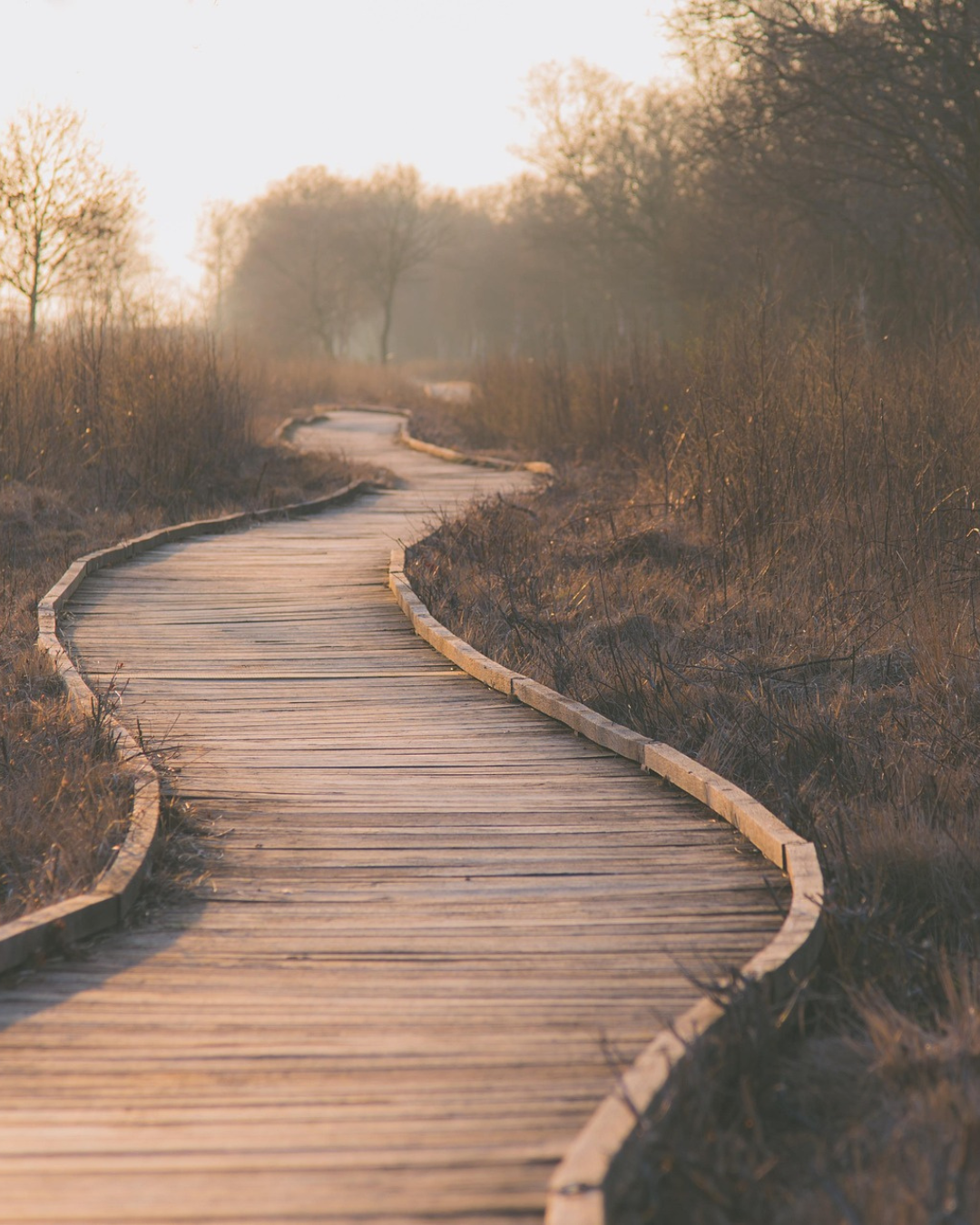 Een pad als symbool voor mijn persoonlijke reis richting balans en herstel